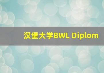 汉堡大学BWL Diplom